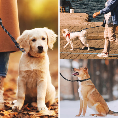 KIPRITII Nylon Dog Leash, Adjustable Slip Lead Dog Leash with Comfortable Padded Handle