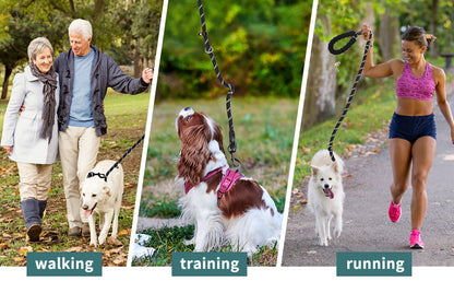 KIPRITII Nylon Dog Leash, Adjustable Slip Lead Dog Leash with Comfortable Padded Handle
